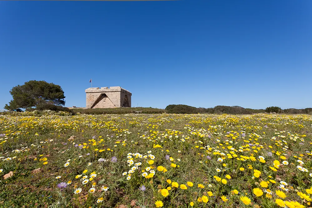 Destinos punta amer Mariant Hotels