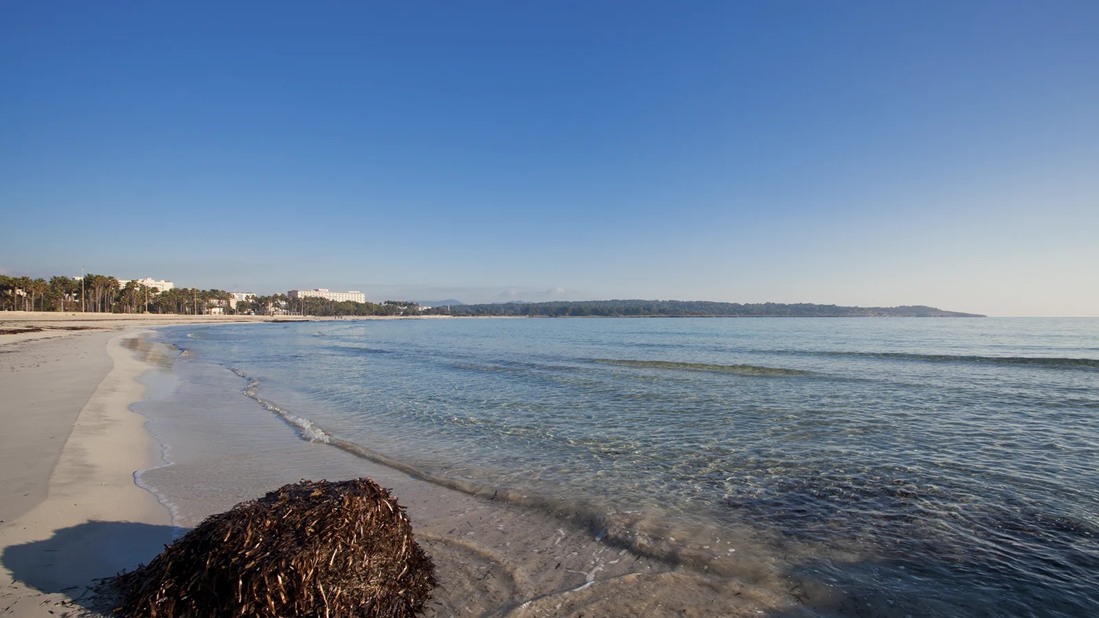 Destinos Sa Coma Mariant Hotels