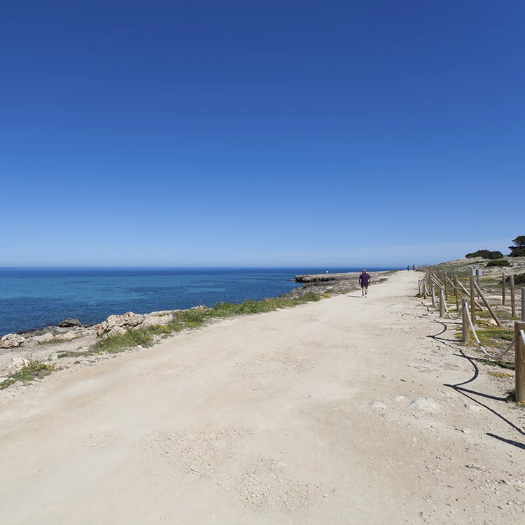 Traslados Mariant Hotels