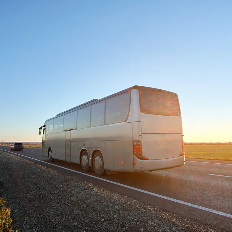 Excursiones Mariant Hotels