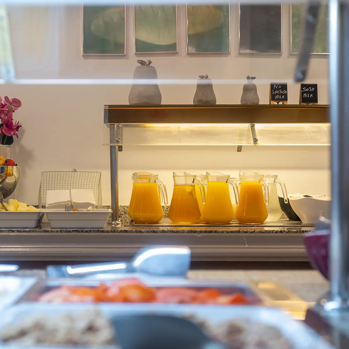 Buffet Hotel Brisa Marina