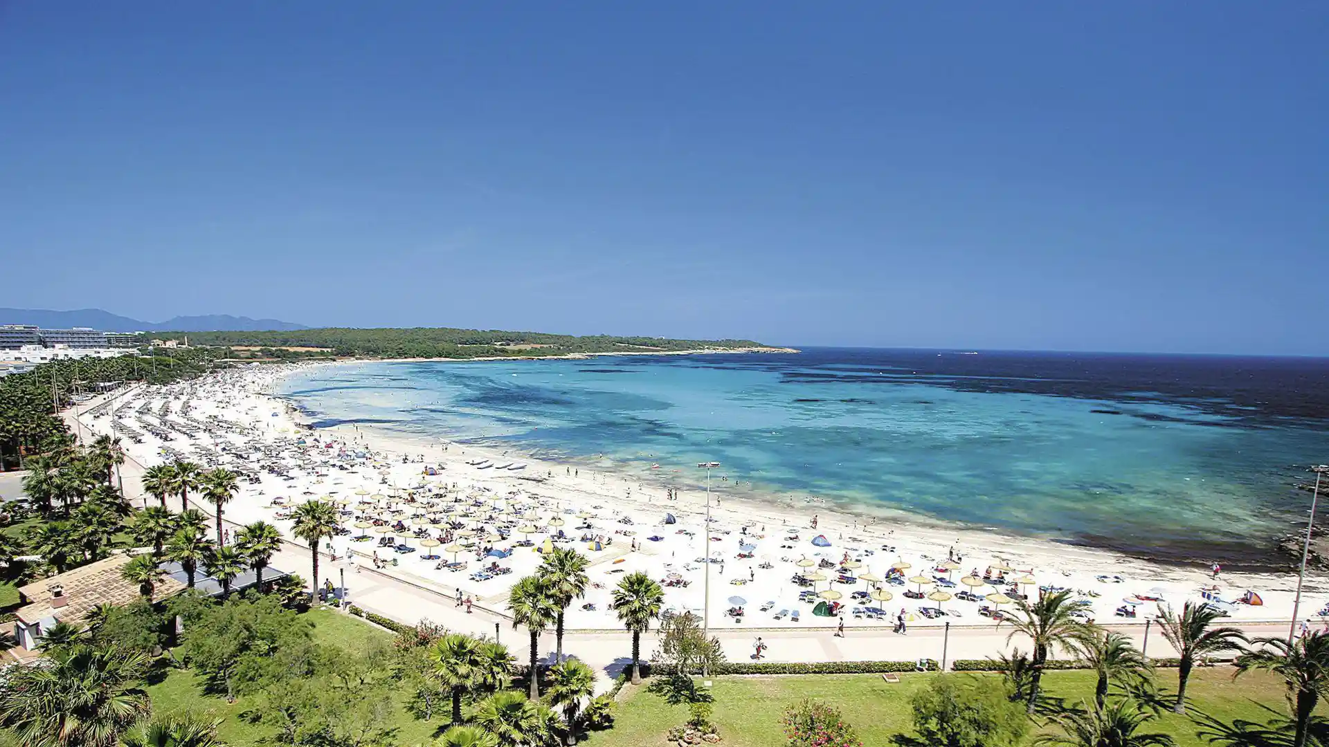 Vista panoramica Playa de sa Coma